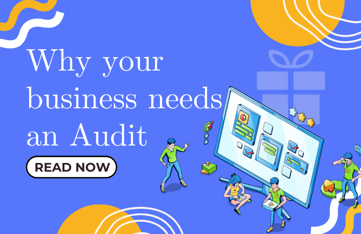 audit business
